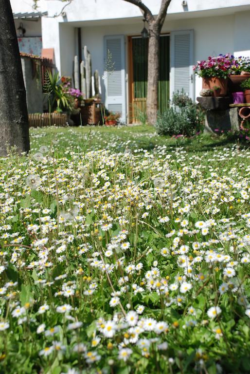لامبوريتشو Bed And Breakfast Il Girasole المظهر الخارجي الصورة